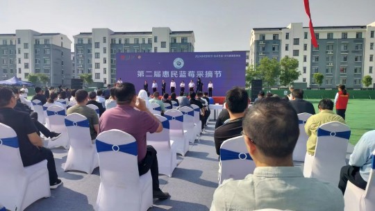 山東省惠民縣第二屆藍(lán)莓采摘節(jié)在淄角舉行