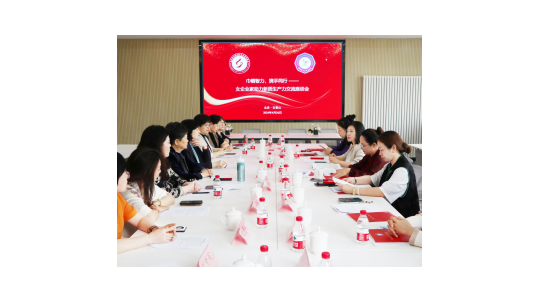 巾幗智力 攜手同行——京津女企業(yè)家攜手舉辦助力新質(zhì)生產(chǎn)力交流座談會