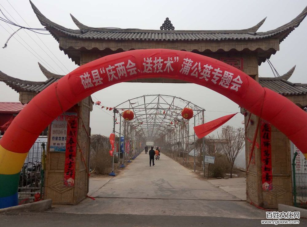 河北磁縣舉辦“慶兩會、送技術”蒲公英專題培訓會