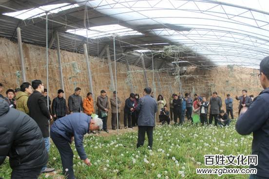 河北磁縣舉辦“慶兩會、送技術”蒲公英專題培訓會