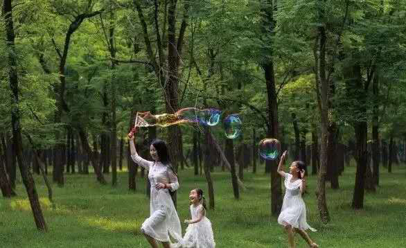 黃河入海 我們回家——第八屆黃河三角洲濕地槐花節(jié)飄香孤島鎮(zhèn)紀(jì)實