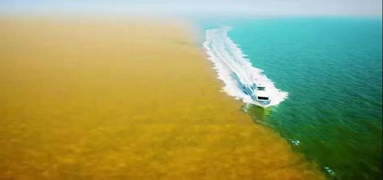 黃河口實力刷屏 中國·東營首屆短視頻網(wǎng)紅大會收官