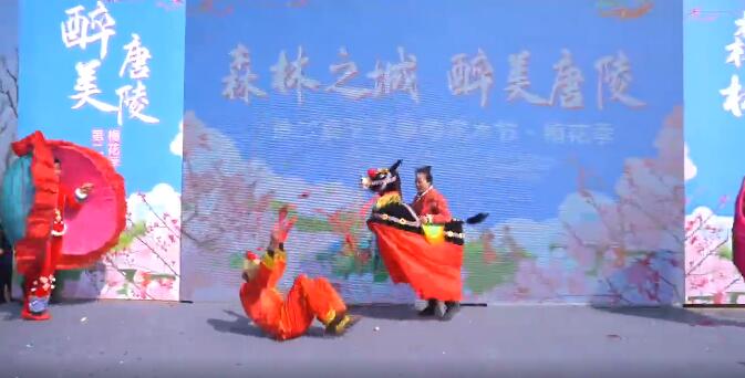 森林之城 醉美唐陵 | 第二屆天王唐陵花木節(jié)今日盛大開(kāi)幕