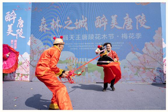 森林之城 醉美唐陵 | 第二屆天王唐陵花木節(jié)今日盛大開(kāi)幕