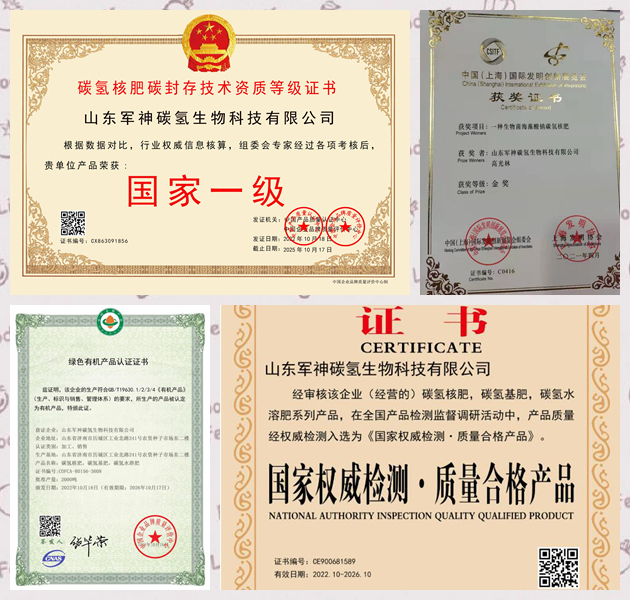 綠色環(huán)保增產(chǎn)型碳?xì)浜朔?落戶重慶為農(nóng)業(yè)帶來(lái)新科技