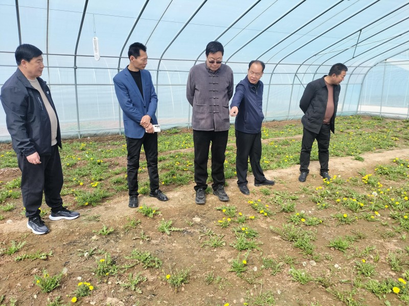 中媒企業(yè)文化發(fā)展工作委員會(huì)一行到河北蒲公英產(chǎn)業(yè)基地調(diào)研