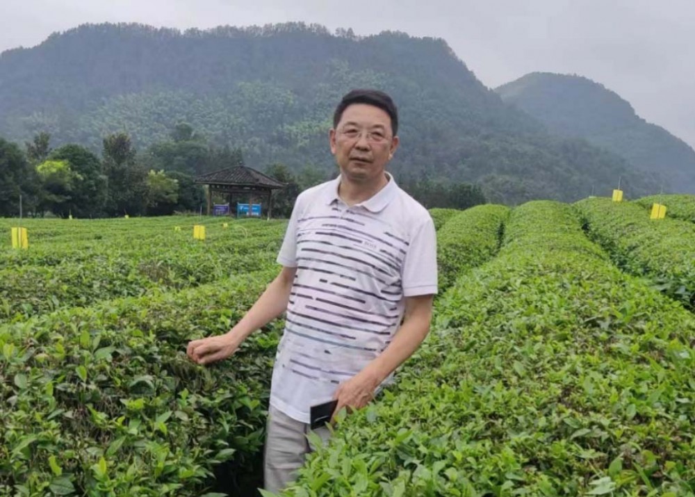 《中國現(xiàn)代文化》雜志社編委——楊志強