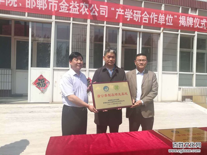 磁縣“蒲公英產(chǎn)學(xué)研基地”、“蒲公英制品研發(fā)基地” 正式掛牌成立