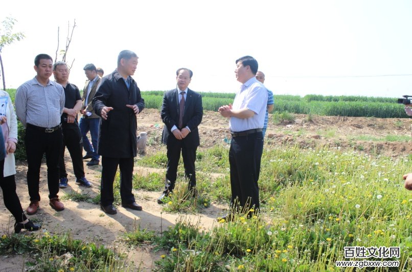 磁縣“蒲公英產(chǎn)學(xué)研基地”、“蒲公英制品研發(fā)基地” 正式掛牌成立