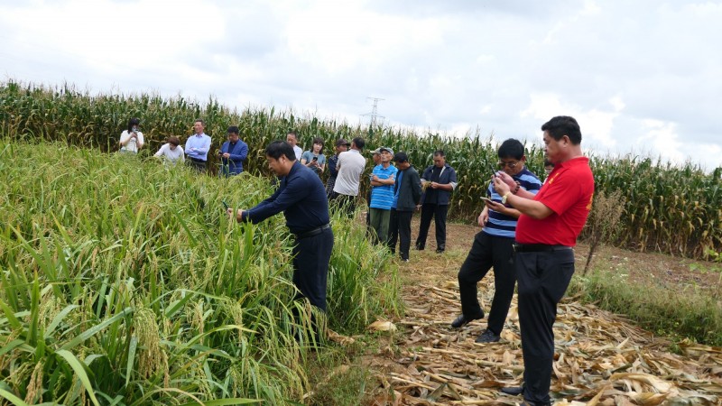 2021煙臺碳?xì)浜朔驶赜^摩交流會在海陽市召開