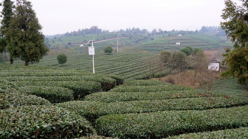 “碳?xì)錈o(wú)憂進(jìn)千縣 安全食品進(jìn)萬(wàn)家”在貴州凱里啟動(dòng)