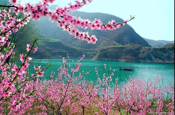 喝火令六首‖文：宋愛軍