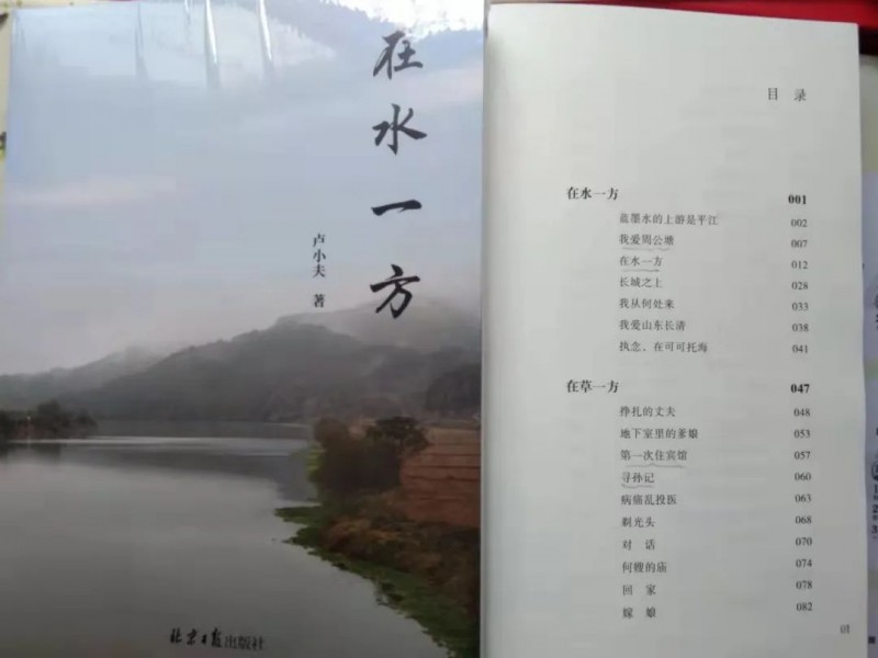 【視界晨報(bào)】王銀柱|在水一方 妙趣橫生