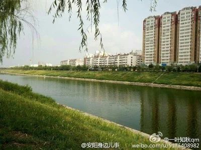 【姬云】安陽之春