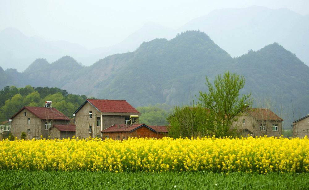 【陳文】鄉(xiāng)間如畫