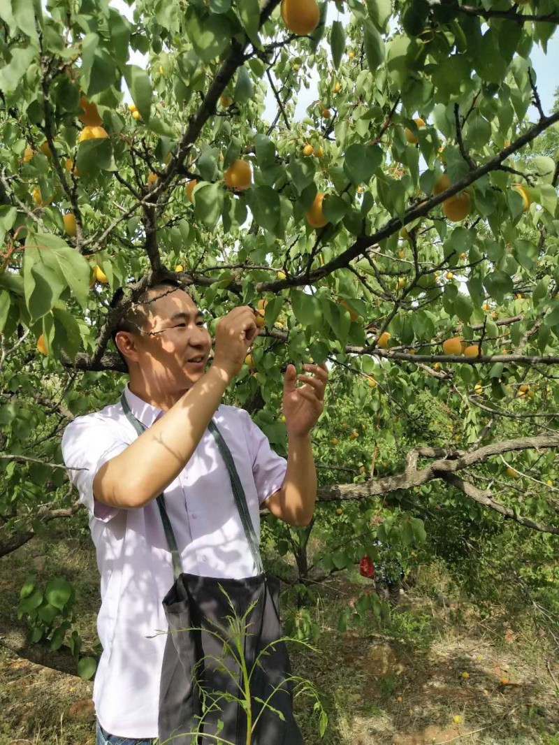 每一個(gè)努力過的人都不會(huì)被辜負(fù)