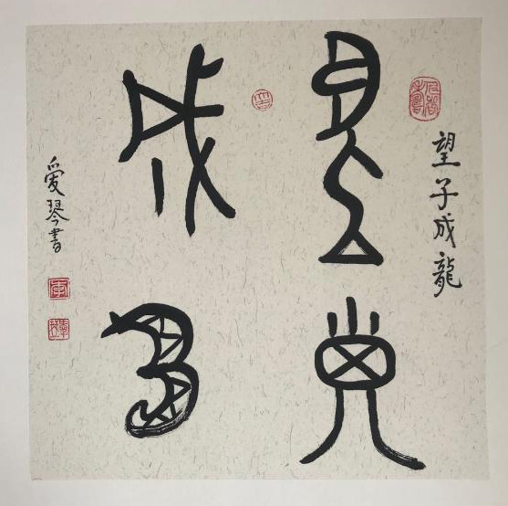 中國(guó)當(dāng)代實(shí)力派書畫名家李愛琴書法藝術(shù)欣賞