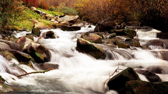 斗門攝影協(xié)會副主席 梁健波 攝影作品欣賞